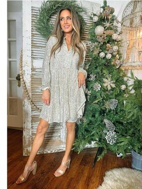 NWT SAIL TO SABLE CHARLOTTE SEQUIN DRESS - SILVER